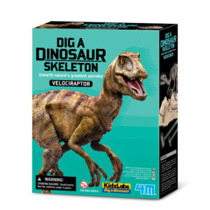 4M WYKOPALISKA VELOCIRAPTOR